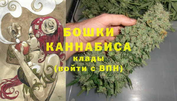 экстази Белокуриха